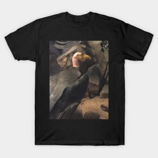 Lone Condor T-Shirt